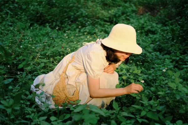 Comment organiser une visite des jardins de thé en Chine ?